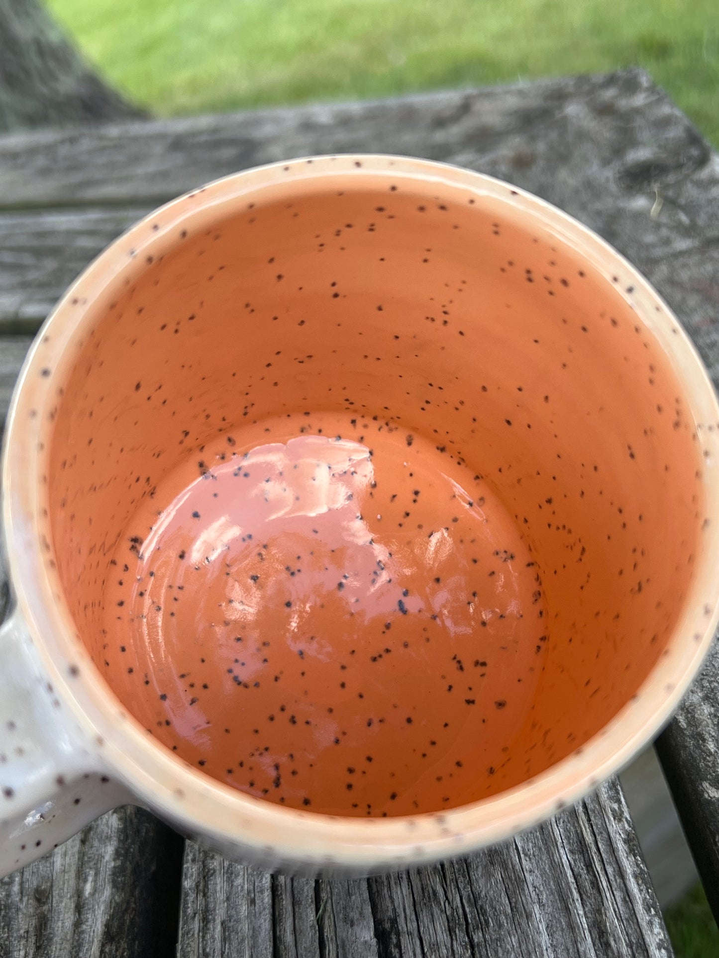 V Mug