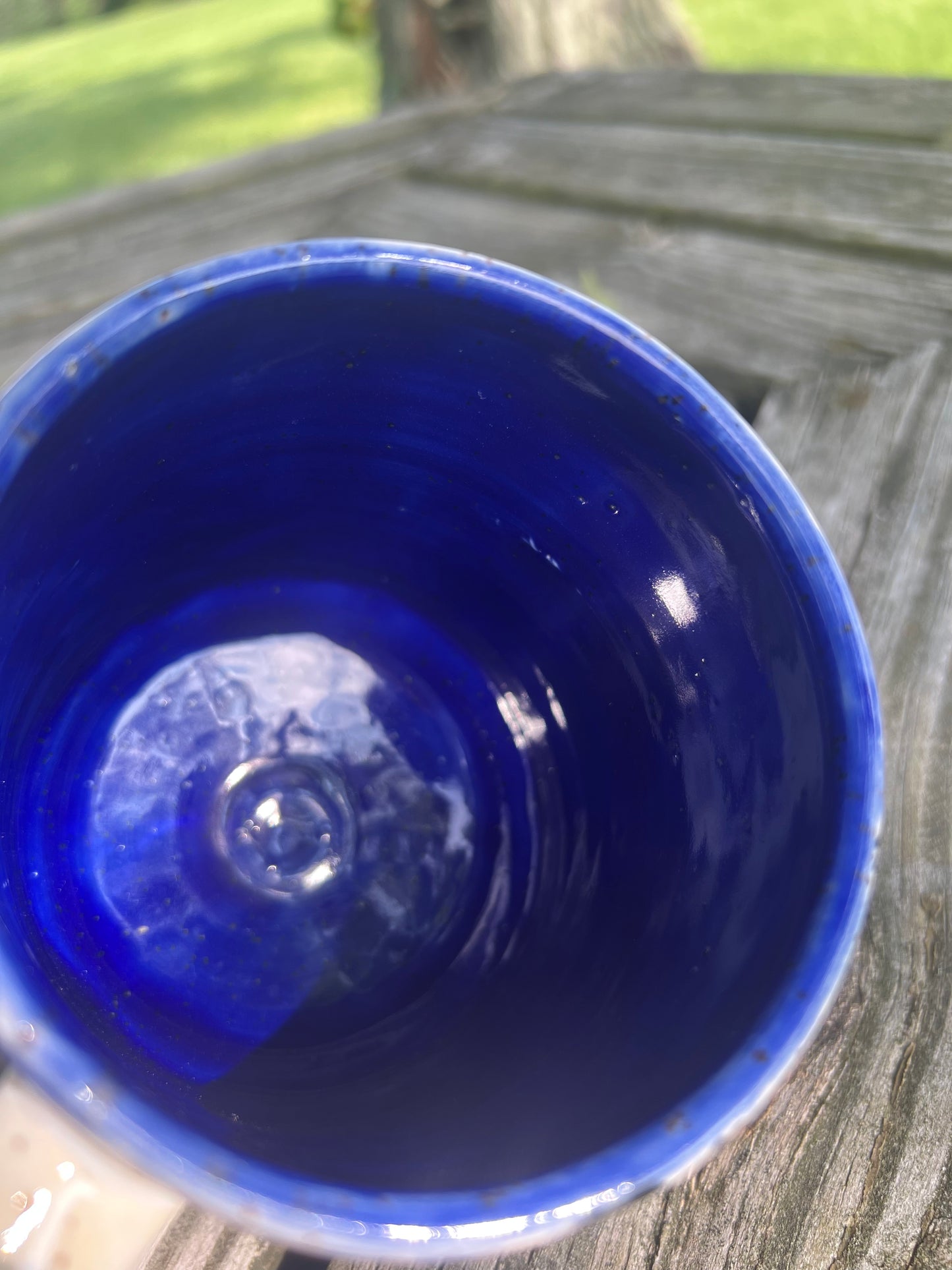 Thunder Beast Mug